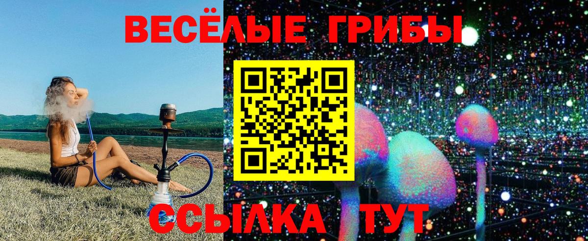 Псилоцибиновые грибы ЛСД  Вход с VPN  Мичуринск  Псилоцибиновые грибы GOLDEN TEACHER 